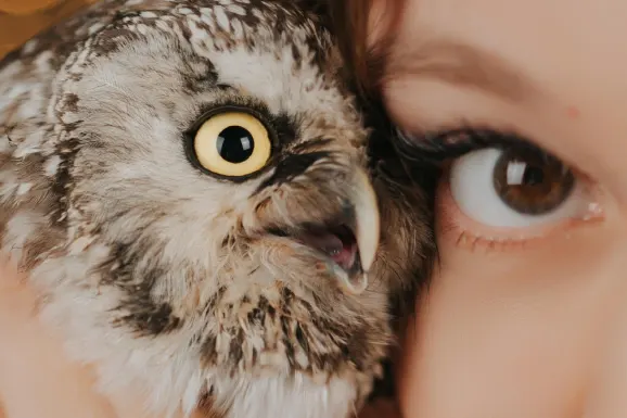 Casino Lucky 31 Soporte